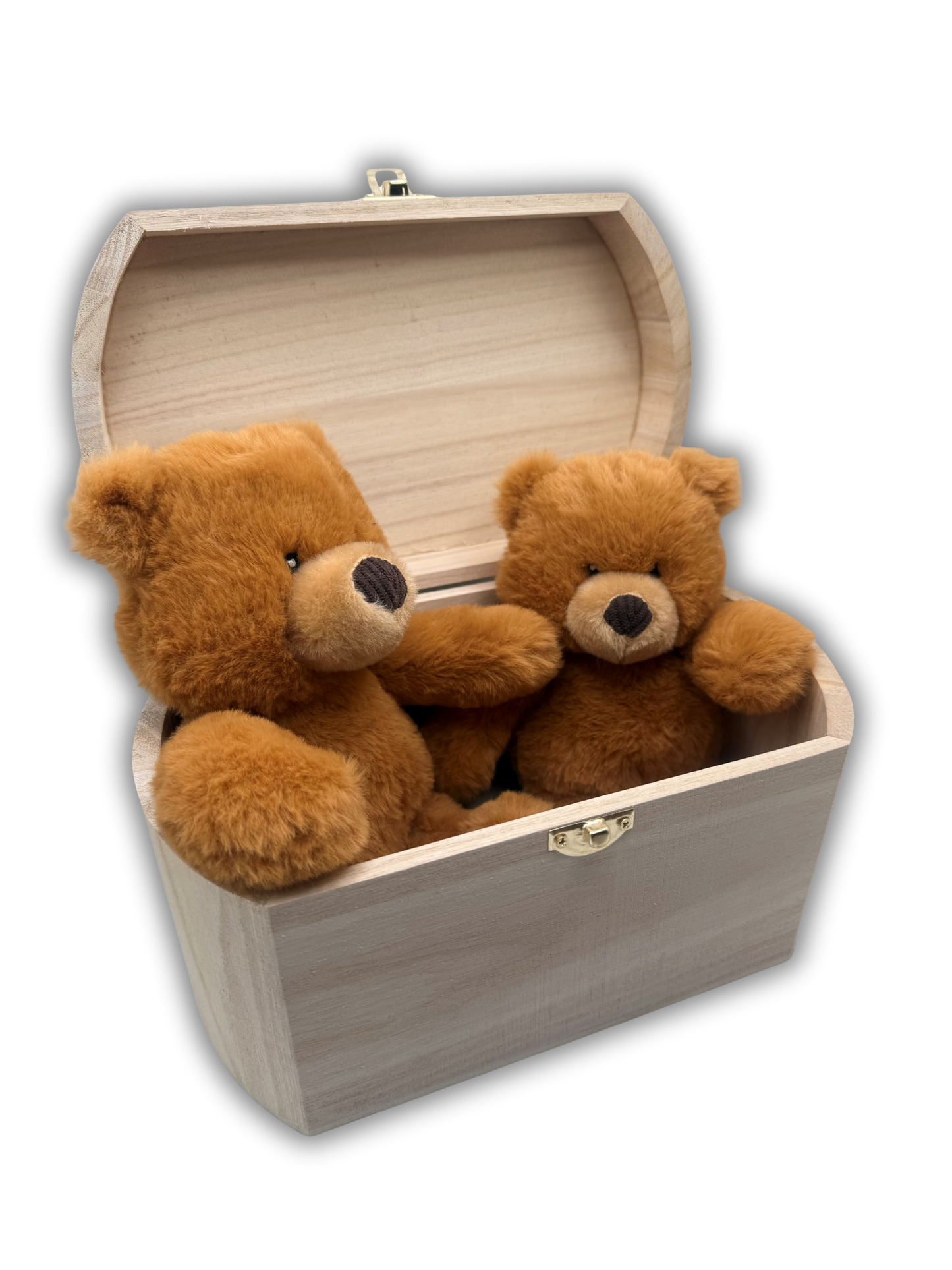 Teddy to Grow Starter Kit