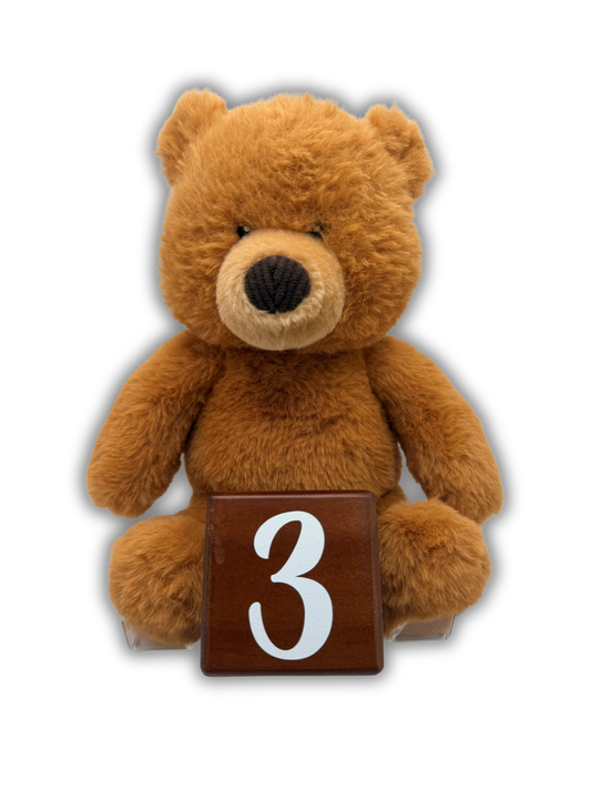 3rd Teddy To Grow Bear