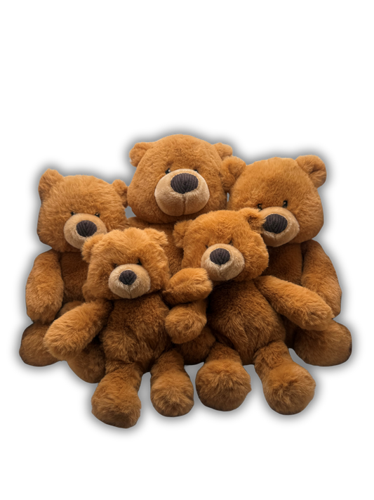 Teddy to Grow Bear Bundle