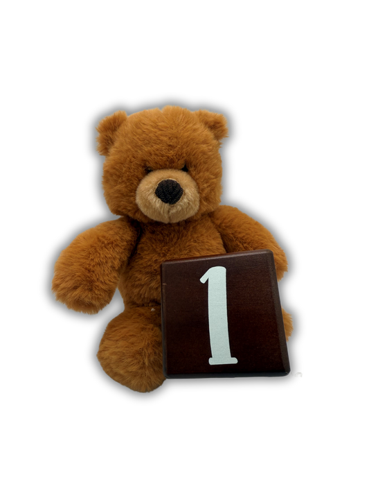 1st Teddy To Grow Bear