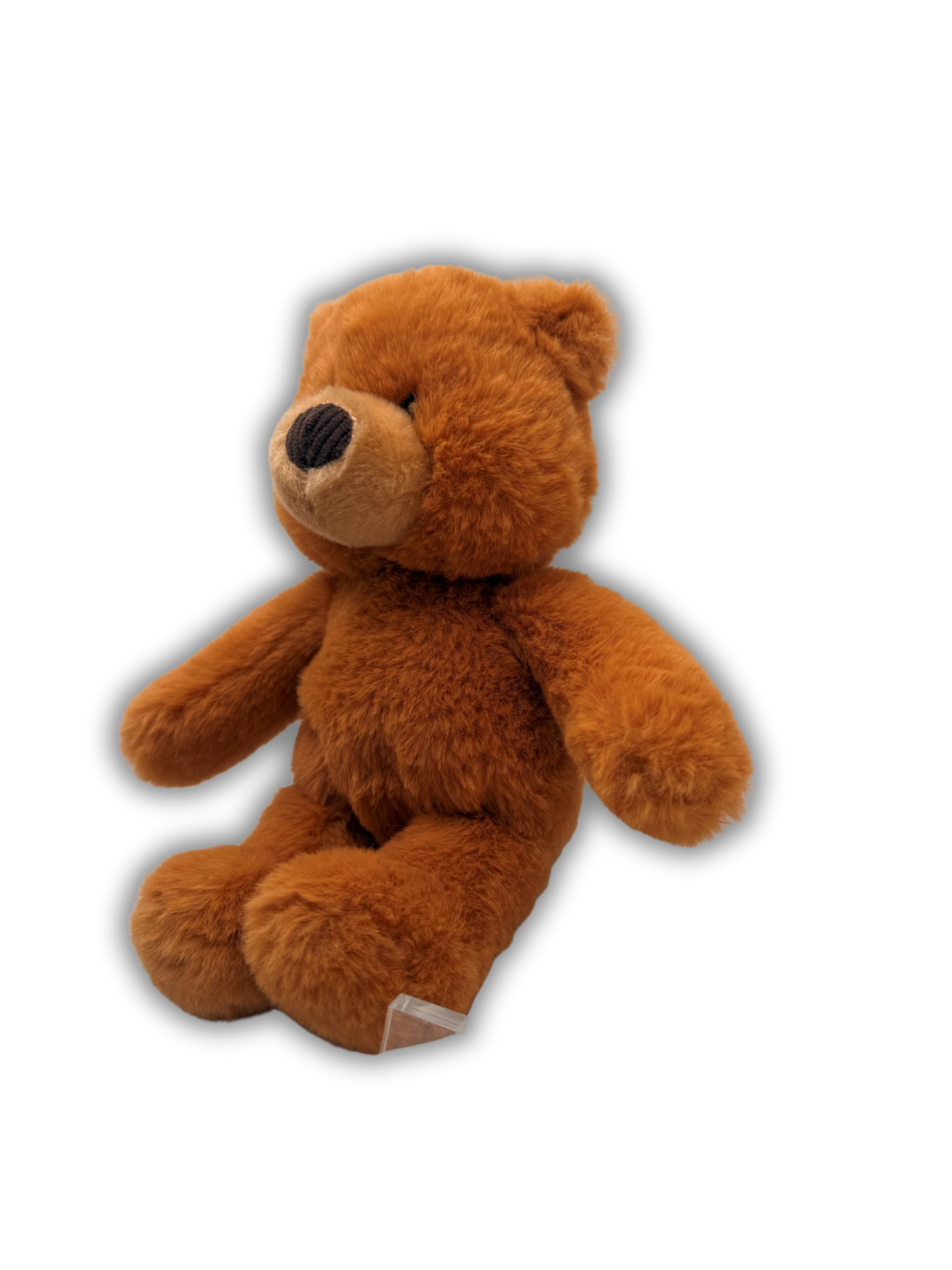 2nd Teddy To Grow Bear