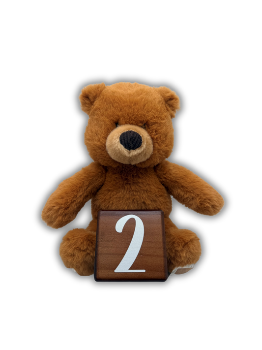 2nd Teddy To Grow Bear
