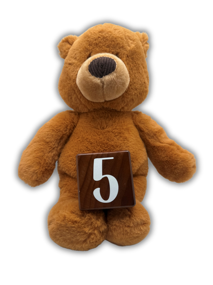 5th Teddy To Grow Bear