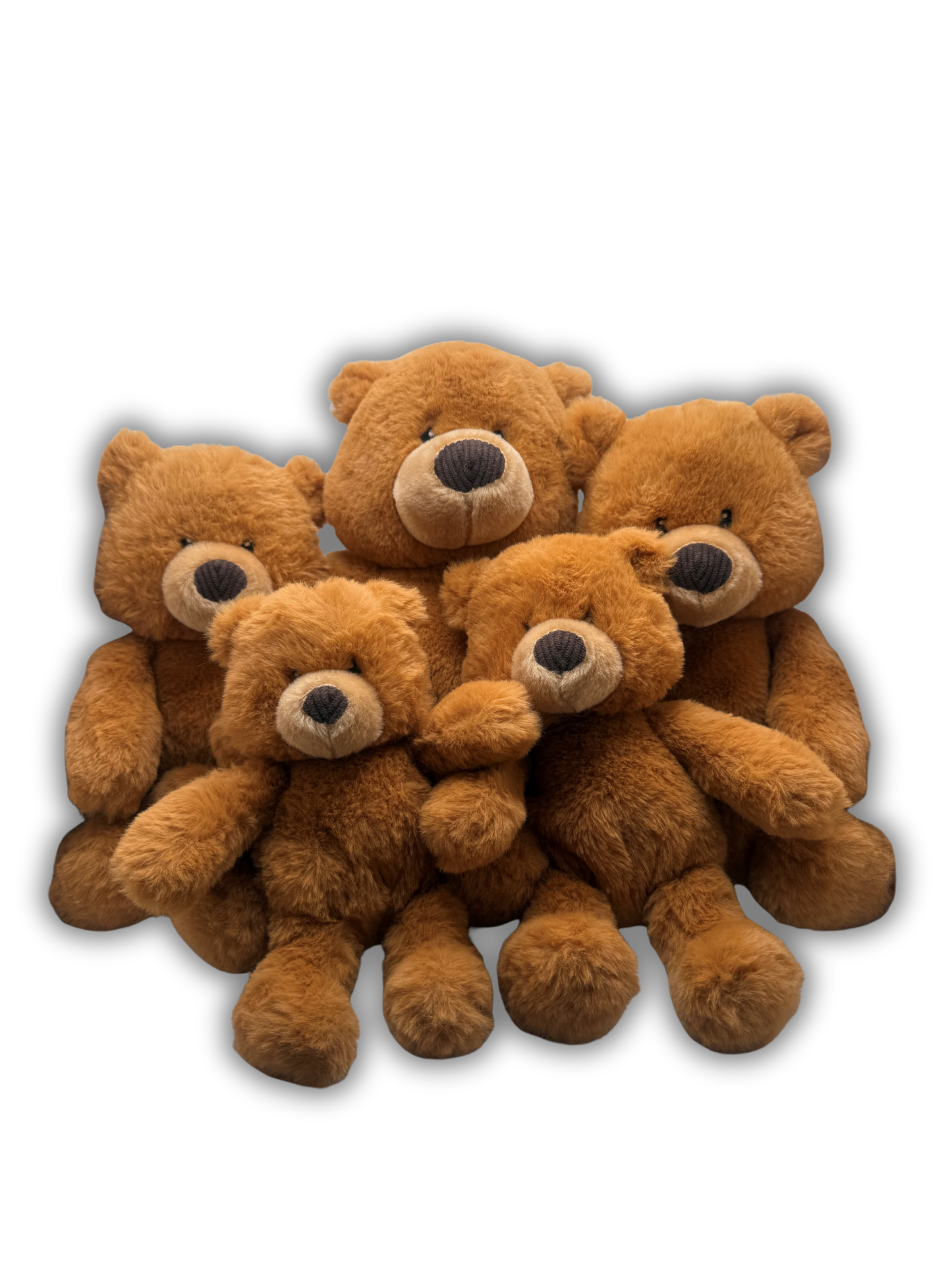 Teddy to Grow Bear Bundle